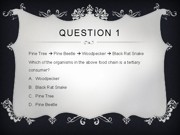 QUESTION 1 Pine Tree Pine Beetle Woodpecker Black Rat Snake Which of the organisms