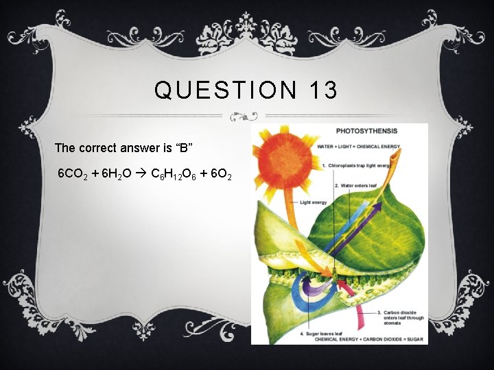 QUESTION 13 The correct answer is “B” 6 CO 2 + 6 H 2