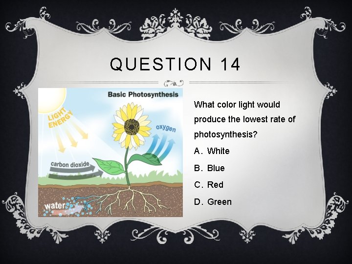 QUESTION 14 What color light would produce the lowest rate of photosynthesis? A. White