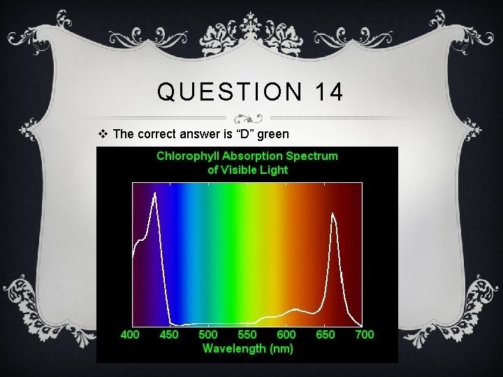 QUESTION 14 v The correct answer is “D” green 