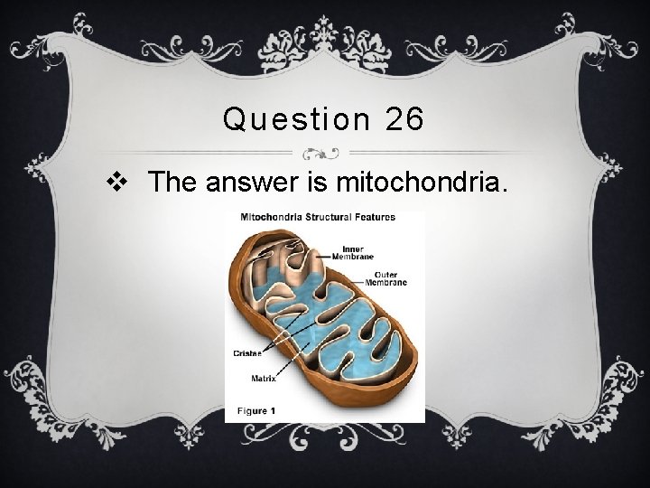 Question 26 v The answer is mitochondria. 