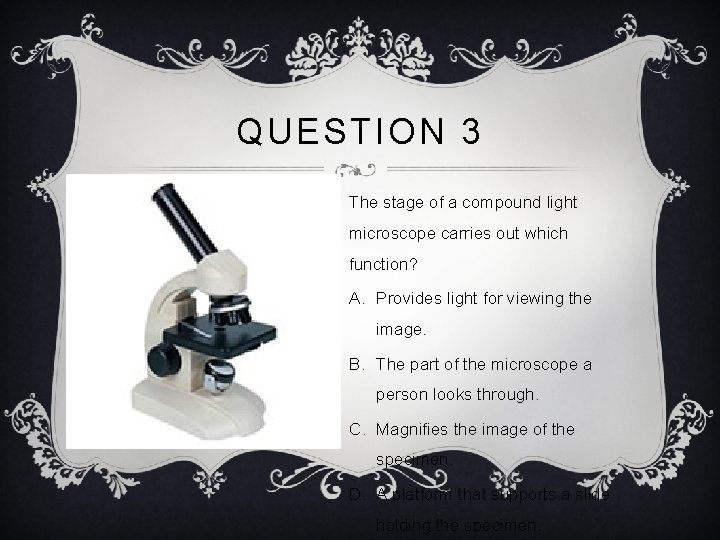QUESTION 3 The stage of a compound light microscope carries out which function? A.
