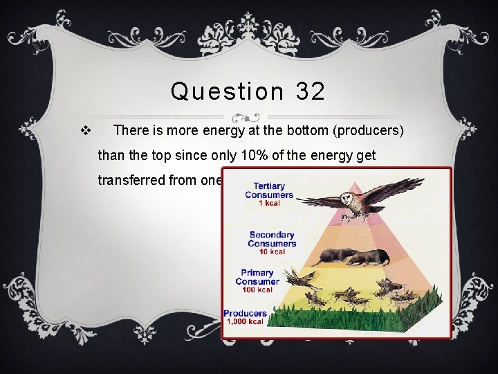 Question 32 v There is more energy at the bottom (producers) than the top