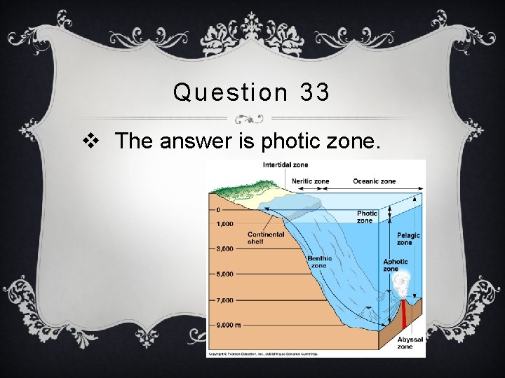 Question 33 v The answer is photic zone. 