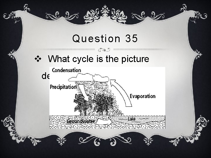 Question 35 v What cycle is the picture depicting? 