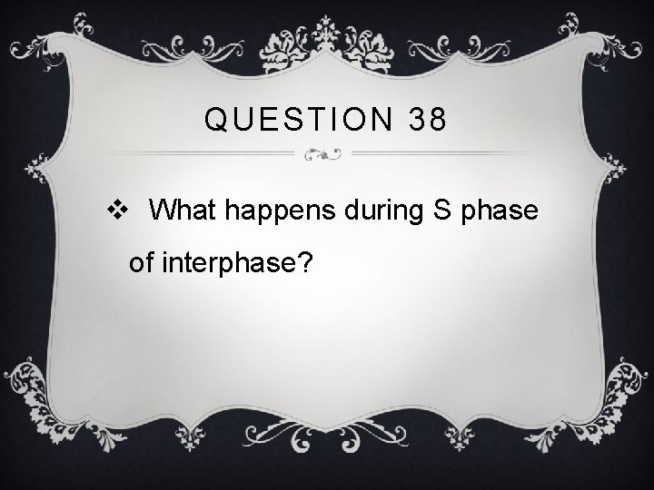 QUESTION 38 v What happens during S phase of interphase? 