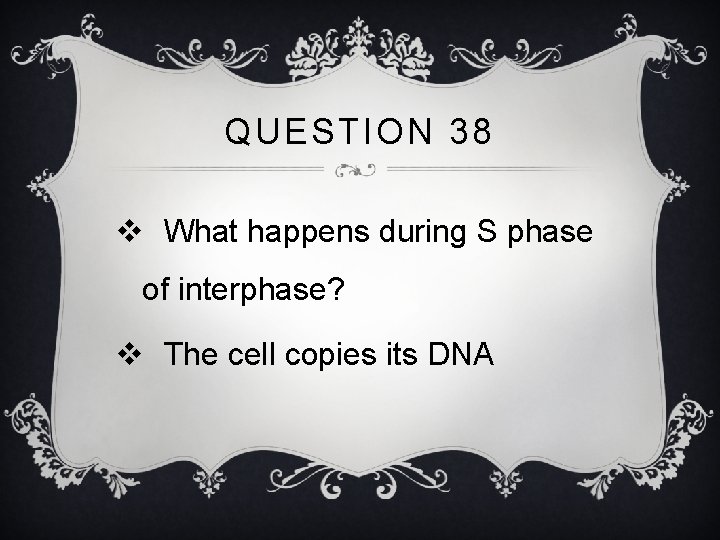 QUESTION 38 v What happens during S phase of interphase? v The cell copies