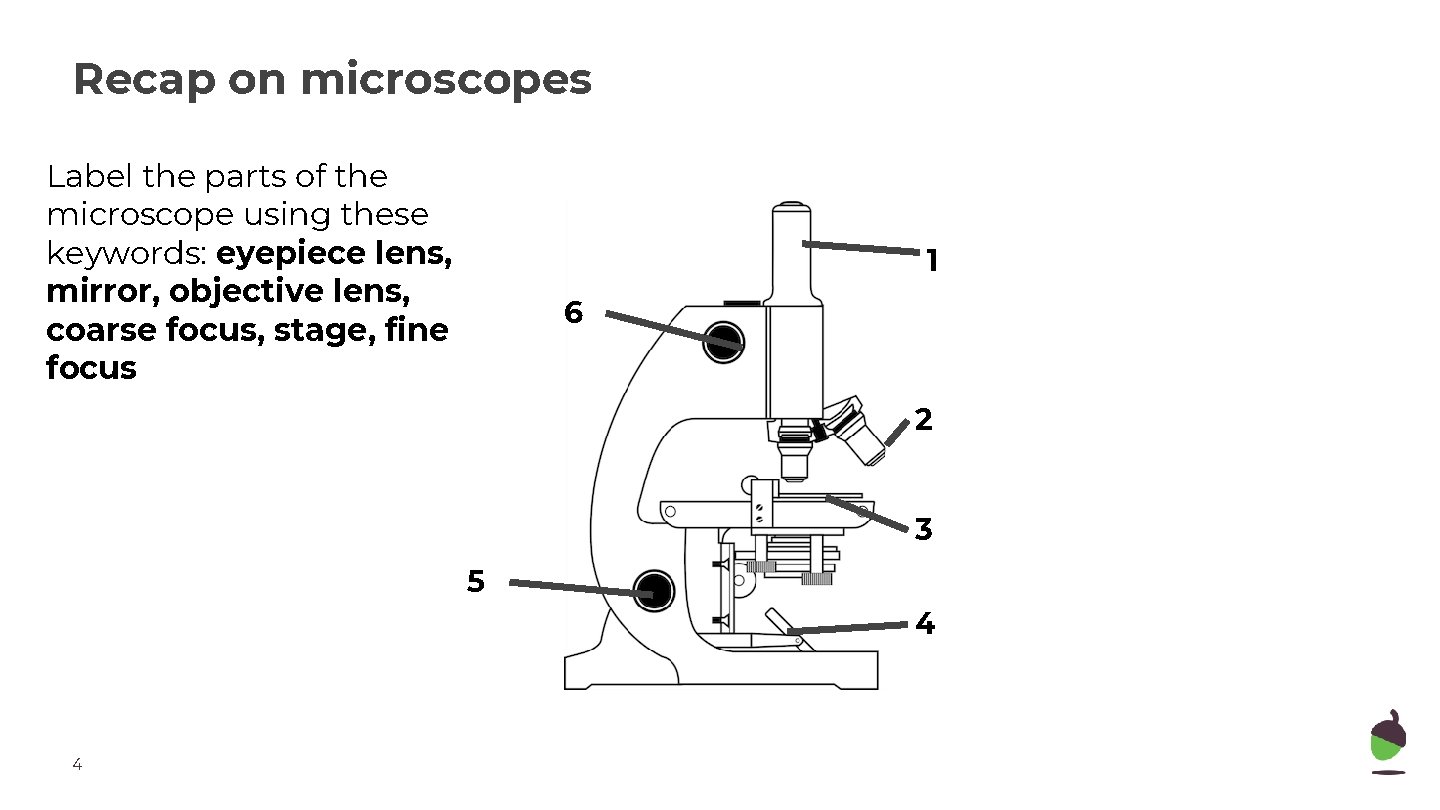 Recap on microscopes Label the parts of the microscope using these keywords: eyepiece lens,