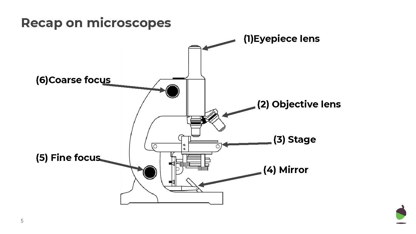 Recap on microscopes (1)Eyepiece lens (6)Coarse focus (2) Objective lens (3) Stage (5) Fine