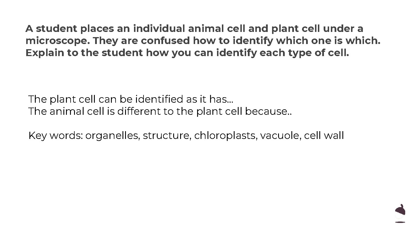 Pause the video to complete your task A student places an individual animal cell