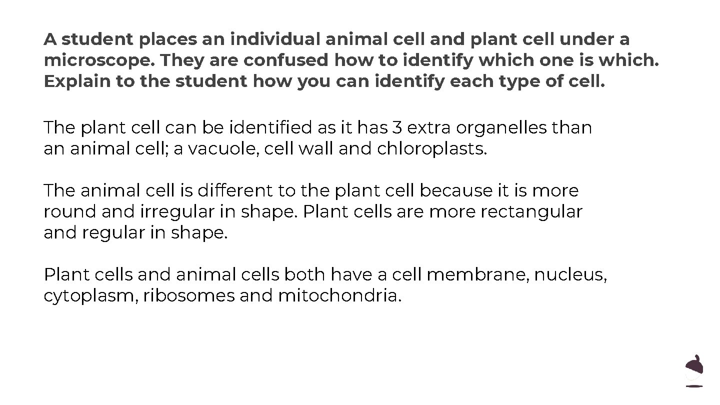 A student places an individual animal cell and plant cell under a microscope. They