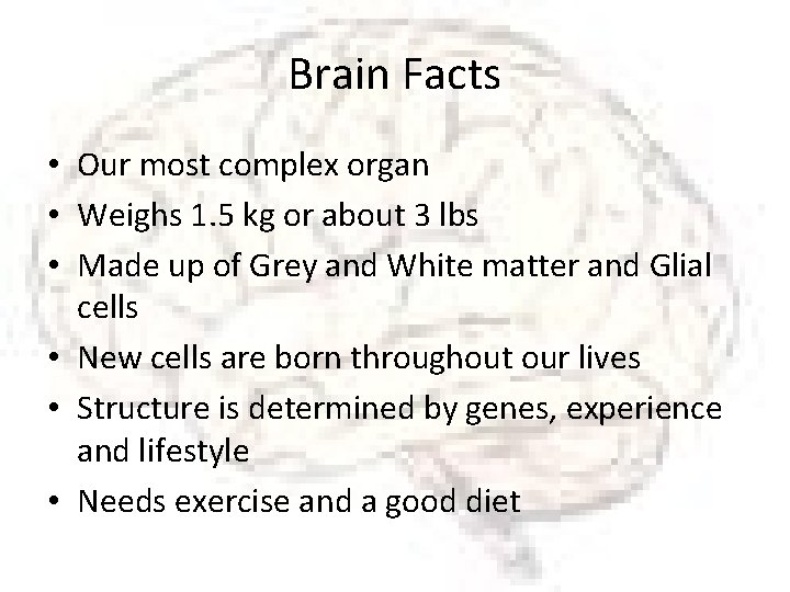 Brain Facts • Our most complex organ • Weighs 1. 5 kg or about