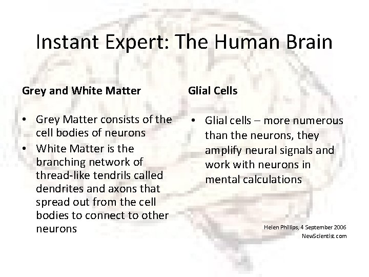 Instant Expert: The Human Brain Grey and White Matter Glial Cells • Grey Matter