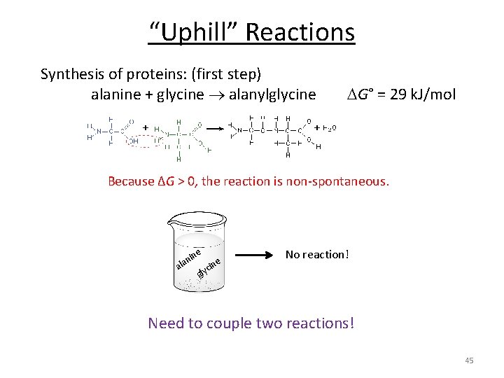 “Uphill” Reactions Synthesis of proteins: (first step) alanine + glycine alanylglycine G° = 29