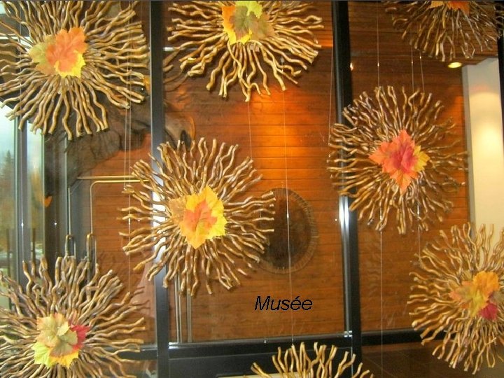 Musée Musée