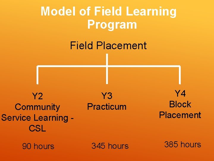 Model of Field Learning Program Field Placement Y 2 Community Service Learning CSL 90