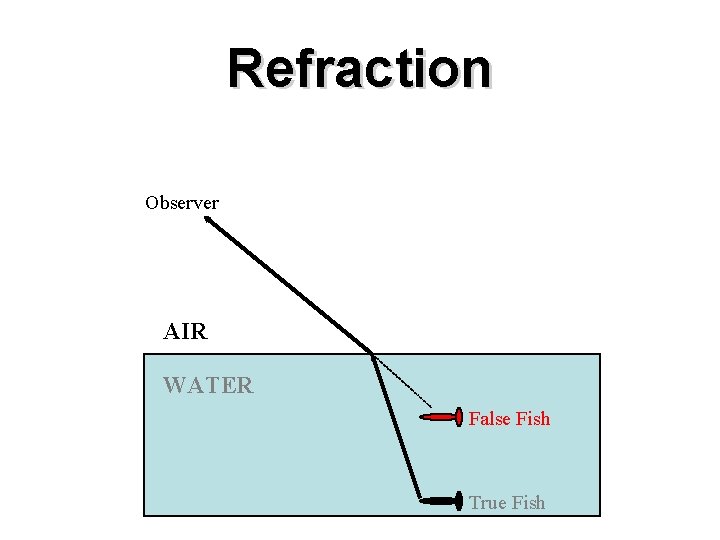 Refraction Observer AIR WATER False Fish True Fish 