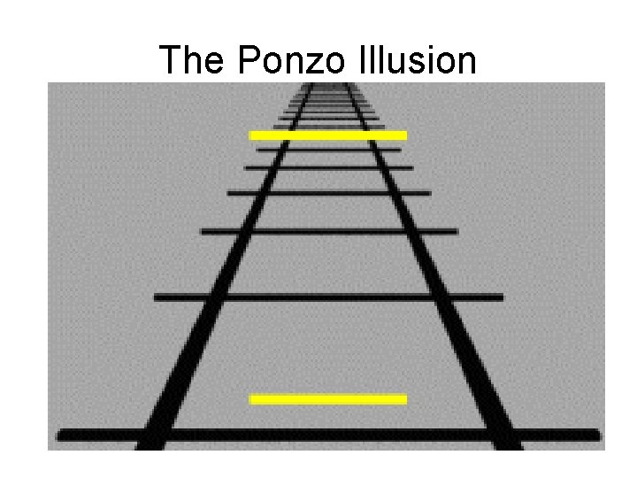 The Ponzo Illusion 