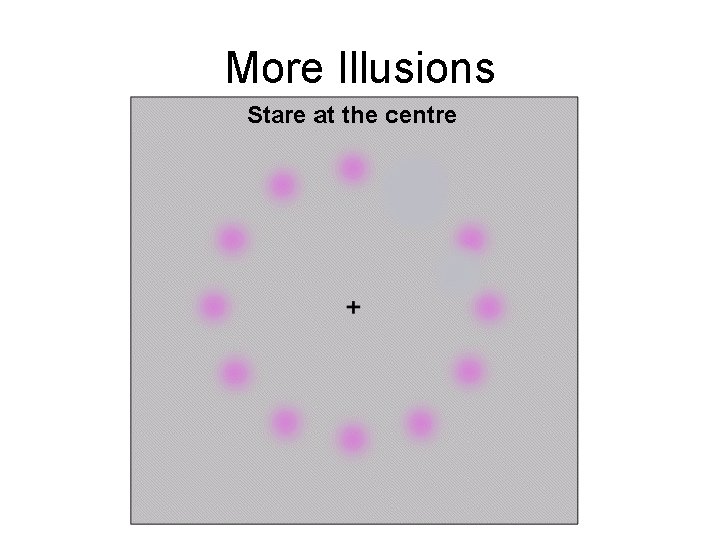 More Illusions 