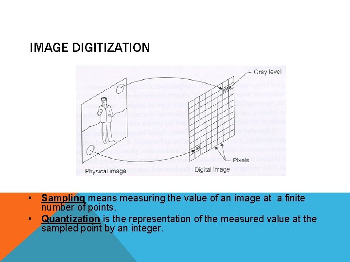 IMAGE DIGITIZATION • Sampling means measuring the value of an image at a finite