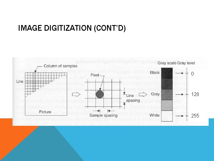 IMAGE DIGITIZATION (CONT’D) 0 128 255 