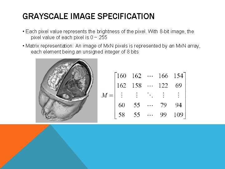 GRAYSCALE IMAGE SPECIFICATION • Each pixel value represents the brightness of the pixel. With