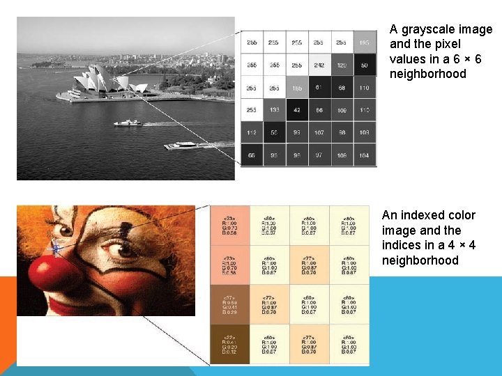 A grayscale image and the pixel values in a 6 × 6 neighborhood An
