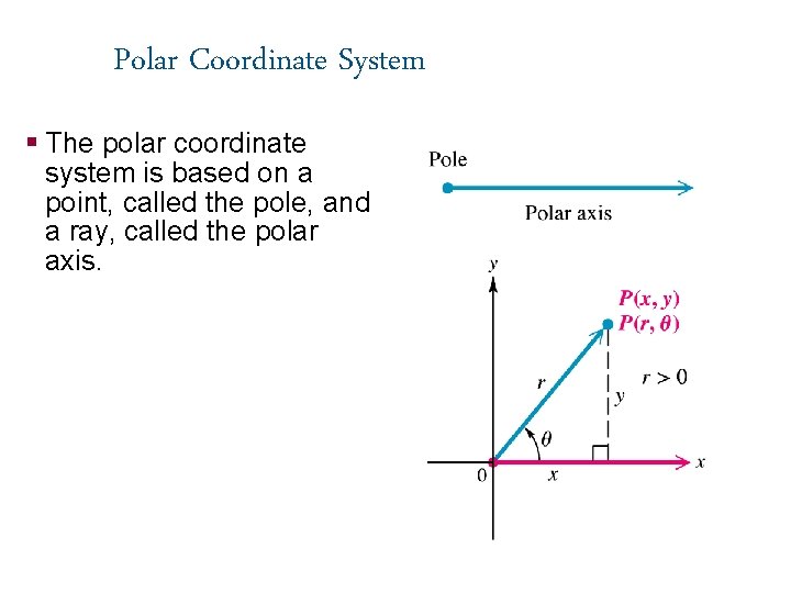 Polar Coordinate System § The polar coordinate system is based on a point, called