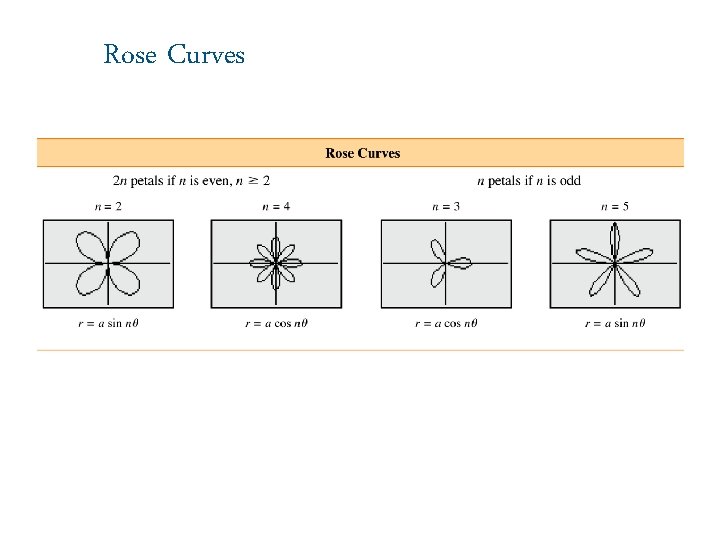 Rose Curves 
