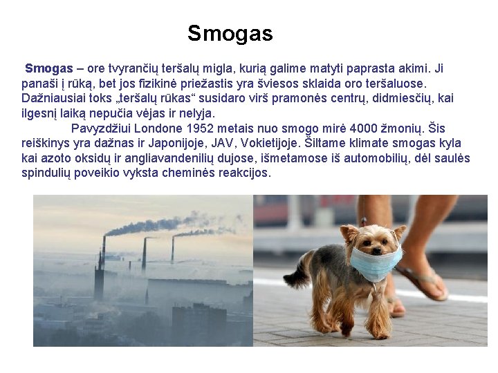 Smogas – ore tvyrančių teršalų migla, kurią galime matyti paprasta akimi. Ji panaši į