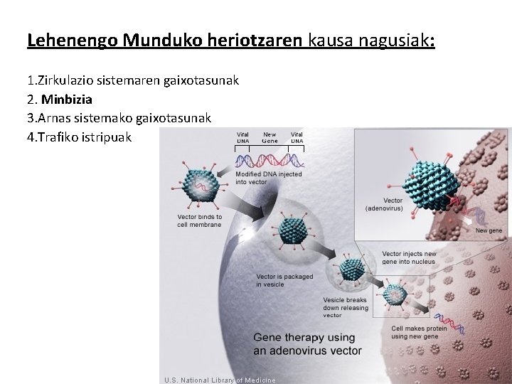 Lehenengo Munduko heriotzaren kausa nagusiak: 1. Zirkulazio sistemaren gaixotasunak 2. Minbizia 3. Arnas sistemako