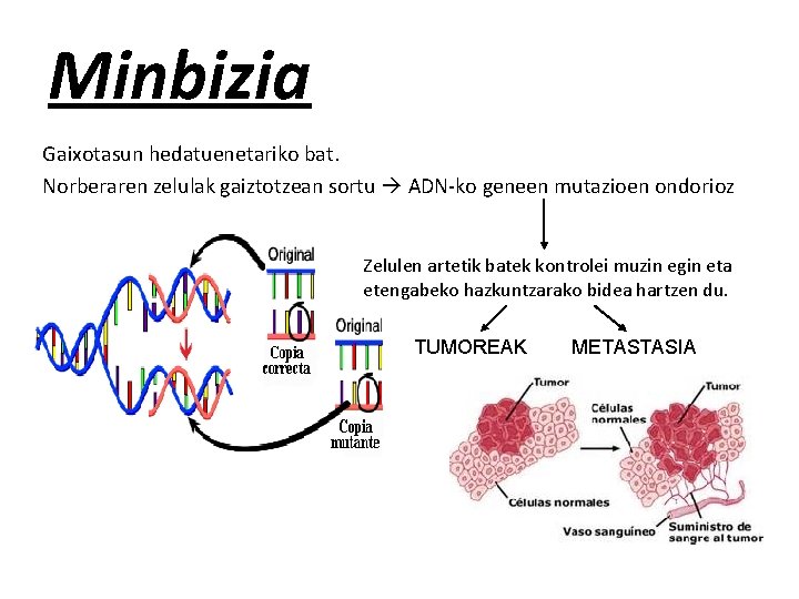 Minbizia Gaixotasun hedatuenetariko bat. Norberaren zelulak gaiztotzean sortu ADN-ko geneen mutazioen ondorioz Zelulen artetik