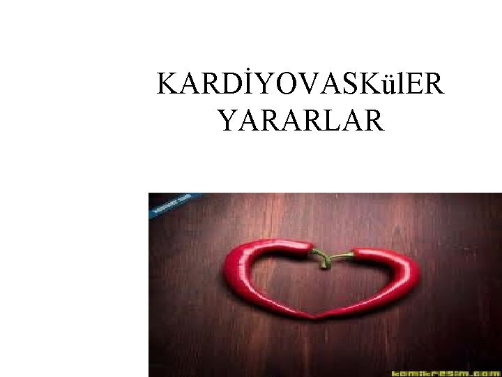 KARDİYOVASKül. ER YARARLAR 