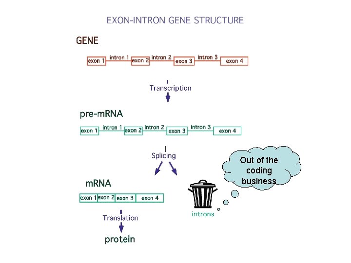 Out of the coding business 