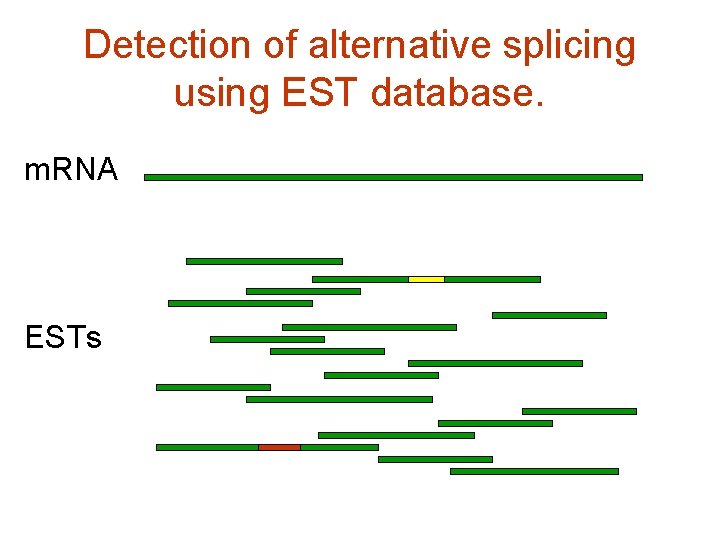 Detection of alternative splicing using EST database. m. RNA ESTs 