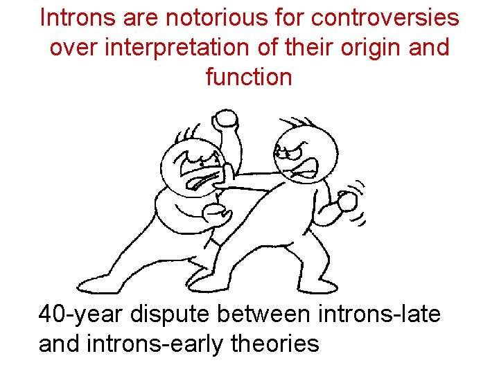 Introns are notorious for controversies over interpretation of their origin and function 40 -year