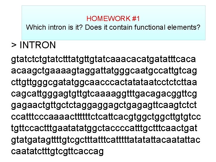 HOMEWORK #1 Which intron is it? Does it contain functional elements? > INTRON gtatctctgtatctttatgttgtatcaaacacatgatatttcaca