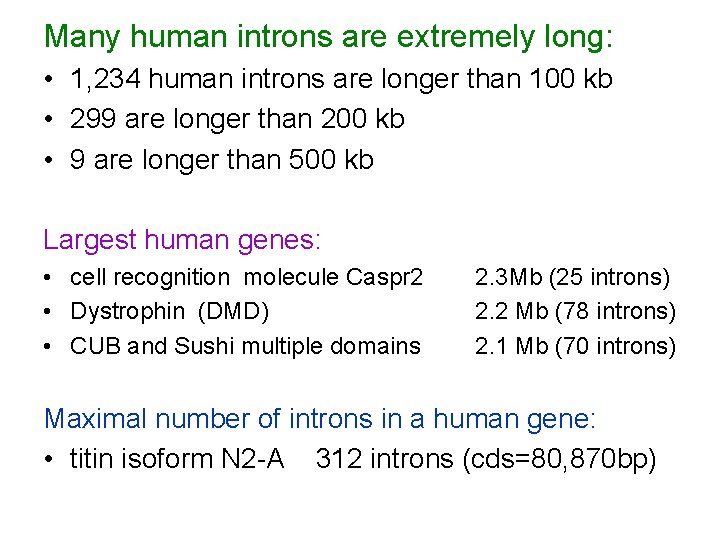 Many human introns are extremely long: • 1, 234 human introns are longer than