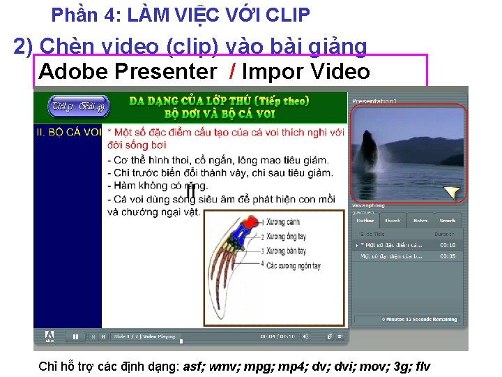 Phần 4: LÀM VIỆC VỚI CLIP 2) Chèn video (clip) vào bài giảng Adobe