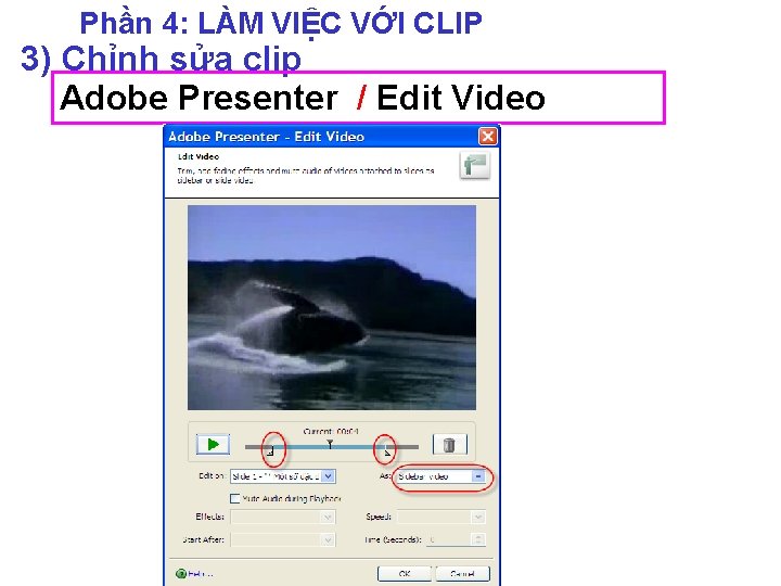 Phần 4: LÀM VIỆC VỚI CLIP 3) Chỉnh sửa clip Adobe Presenter / Edit