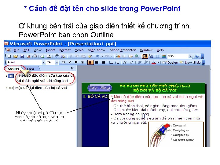 * Cách để đặt tên cho slide trong Power. Point Ở khung bên trái