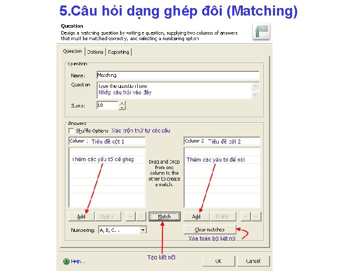 5. Câu hỏi dạng ghép đôi (Matching) 