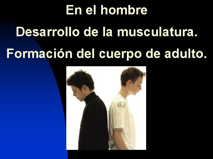 En el hombre Desarrollo de la musculatura. Formación del cuerpo de adulto. 