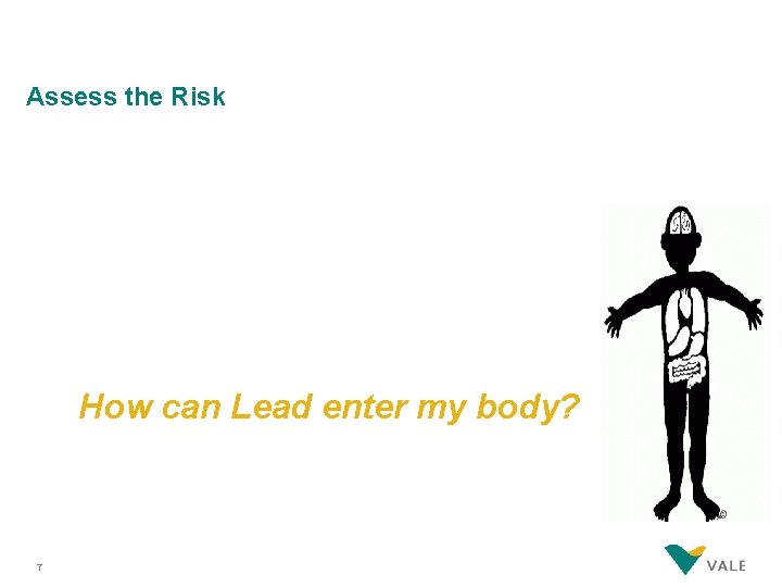 Assess the Risk How can Lead enter my body? 7 