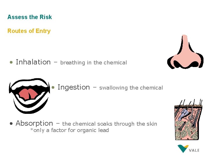 Assess the Risk Routes of Entry • Inhalation – breathing in the chemical •