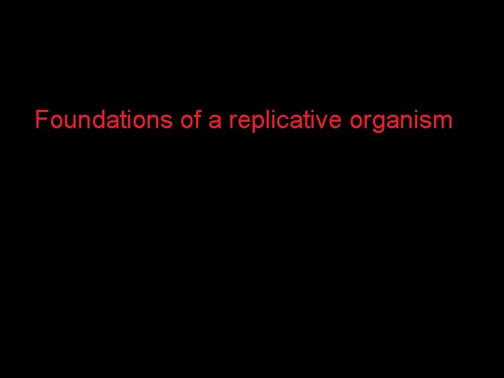 Foundations of a replicative organism 