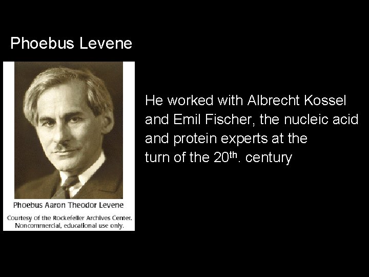 Phoebus Levene He worked with Albrecht Kossel and Emil Fischer, the nucleic acid and
