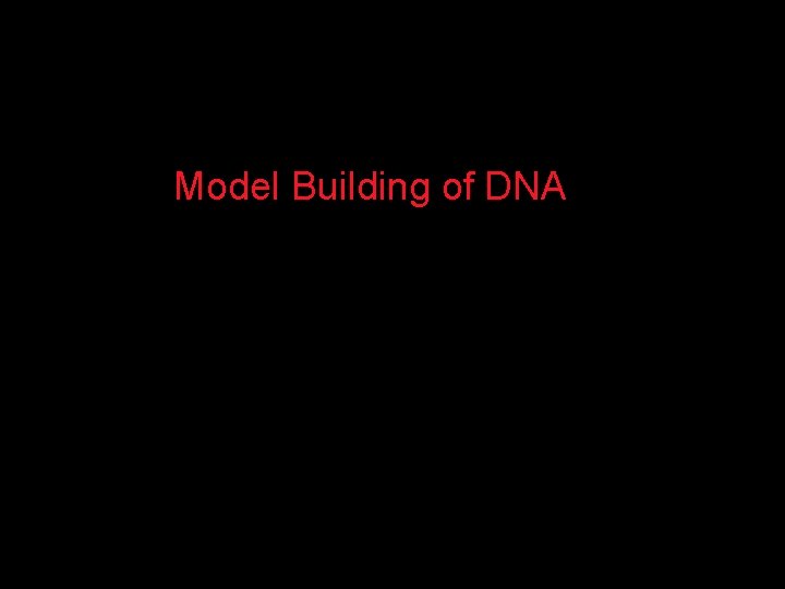 Model Building of DNA 
