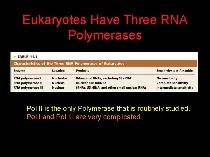 Eukaryotes Have Three RNA Polymerases Pol II is the only Polymerase that is routinely