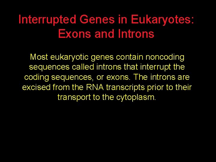 Interrupted Genes in Eukaryotes: Exons and Introns Most eukaryotic genes contain noncoding sequences called